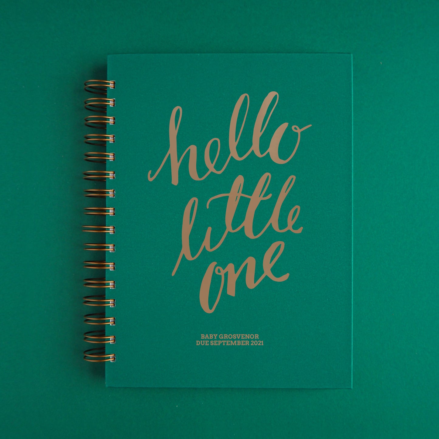 Hello Little One Memory Book - & So They Made